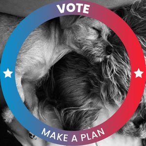 Meet your Posher, Miranda